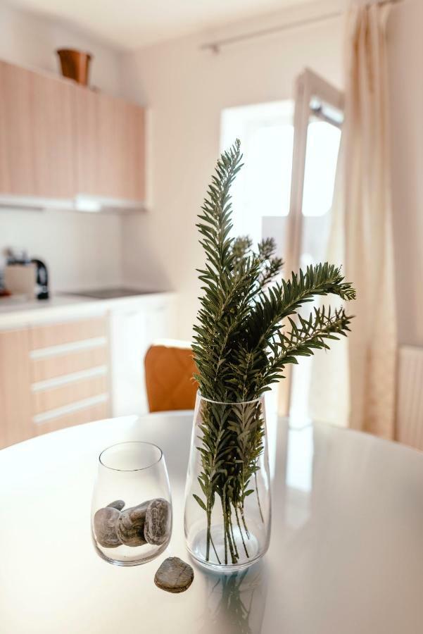 Luxury Apartments Zelny Trh 4 Брно Экстерьер фото