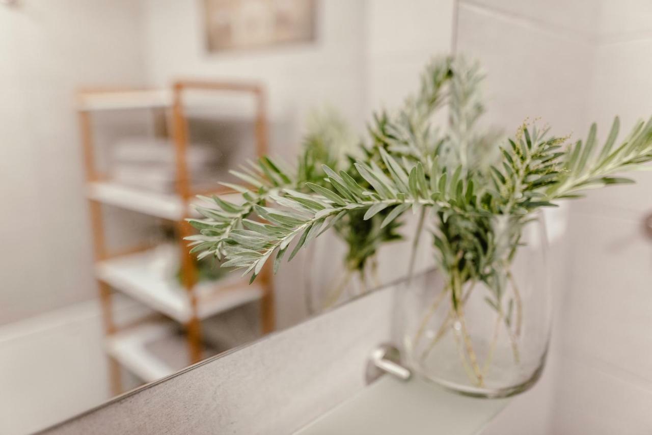 Luxury Apartments Zelny Trh 4 Брно Экстерьер фото